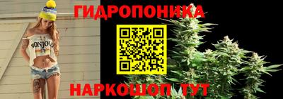 гашишное масло Кингисепп