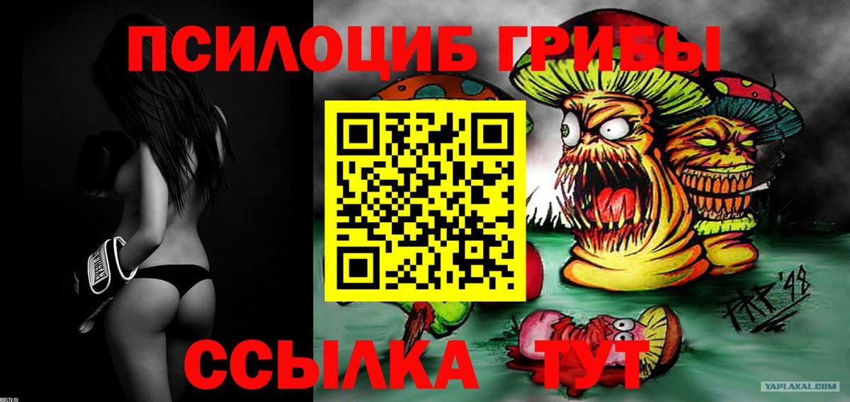 Псилоцибиновые грибы мухоморы Котовск
