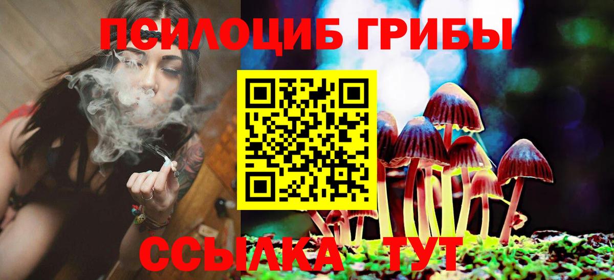 Галлюциногенные грибы мицелий  Вход с VPN  Котовск  Галлюциногенные грибы мухоморы 